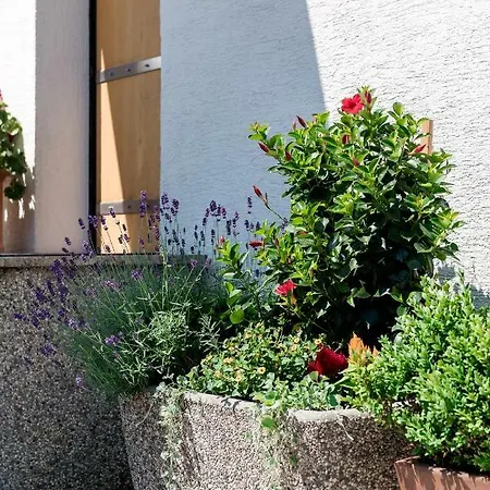 Rozna Dolina Apartma Ljubljana
