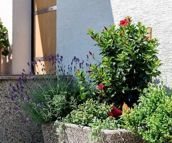 Rozna Dolina Apartament Lublana